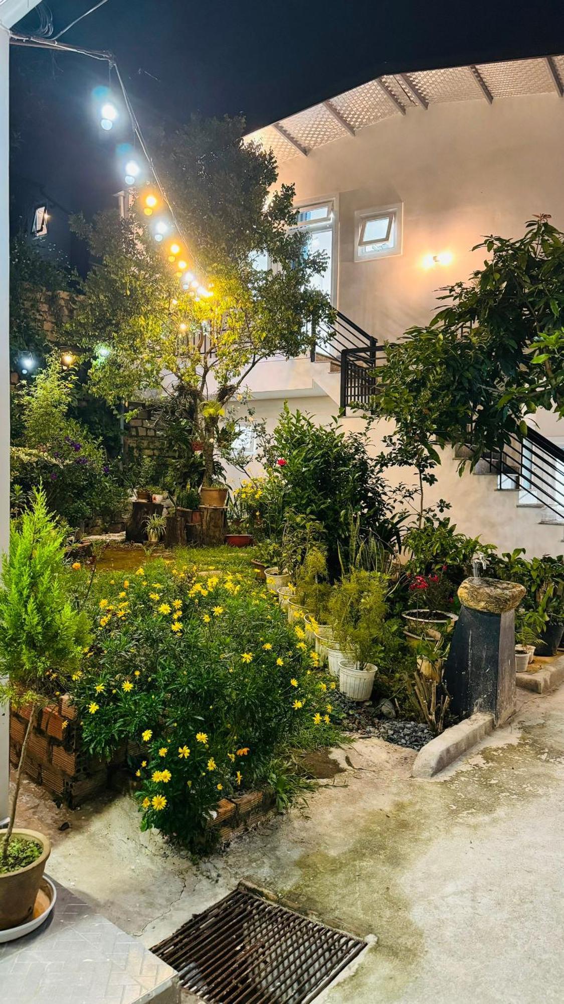 Apartmán Nha Cua Soc Dalat Exteriér fotografie
